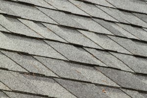 Basic Guide In Roof Cleaning