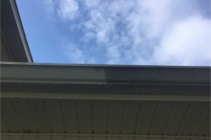 Magnolia Springs power washing services