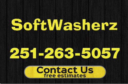 SoftWasherz mobile header and logo