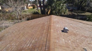 Roof cleaning services