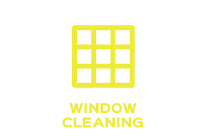 Window cleaning company